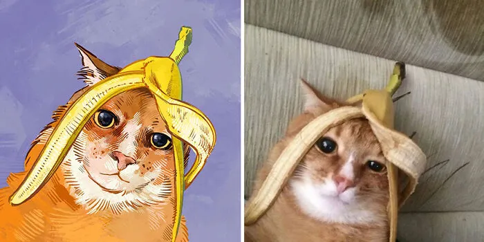 Funny Cat Pics Get Even Funnier When Illustrated By This Artist (33 New Pics)