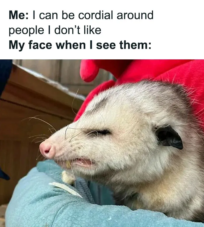 ‘Animals With Vibing Auras’: 50 Hilarious Pics Of Creatures Doing Random Things