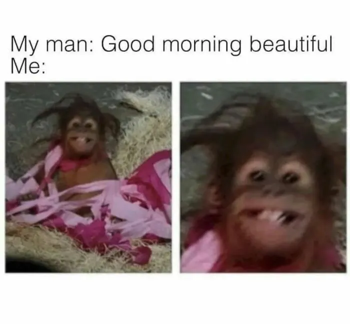 50 Of The Funniest Memes From The ‘Queen Savage’ IG Page
