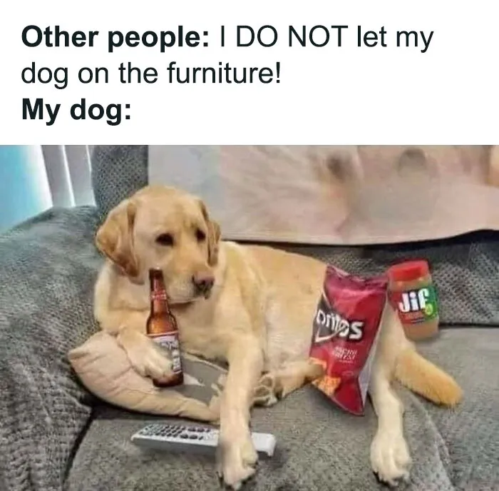 ‘Animals With Vibing Auras’: 50 Hilarious Pics Of Creatures Doing Random Things