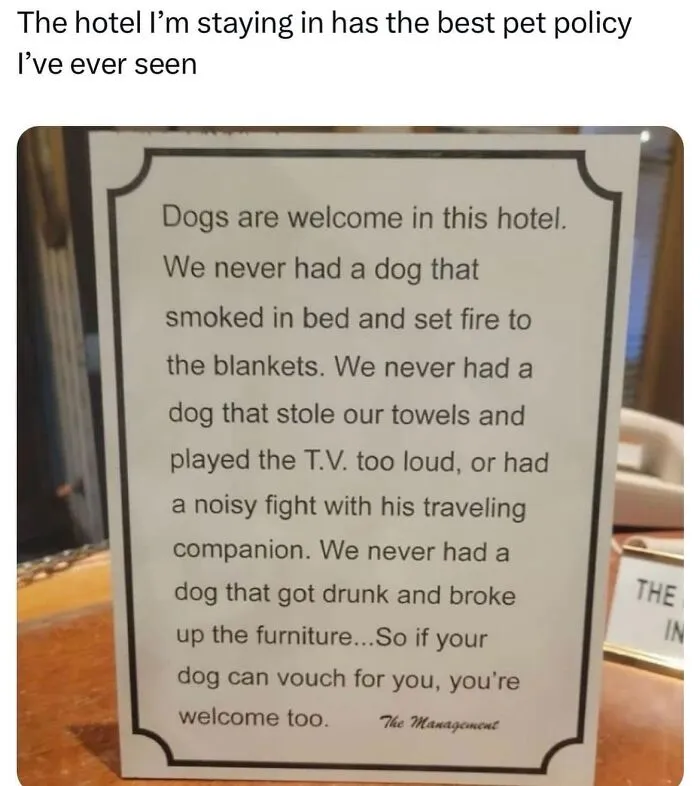 50 Soul-Healing Dog Memes That Are Cute And Funny At The Same Time
