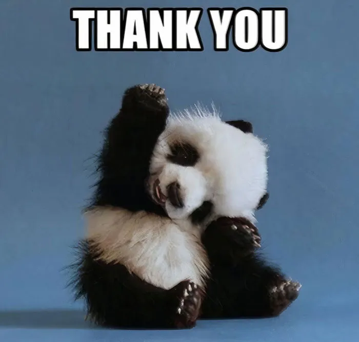 Greatful Little Panda