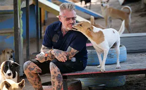 This Chef Found His True Calling Rescuing Stray Dogs In Thailand