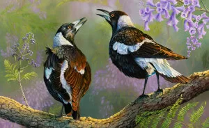 Limited Edition Prints Of My Original Oil Painting "Sunrise Opera"