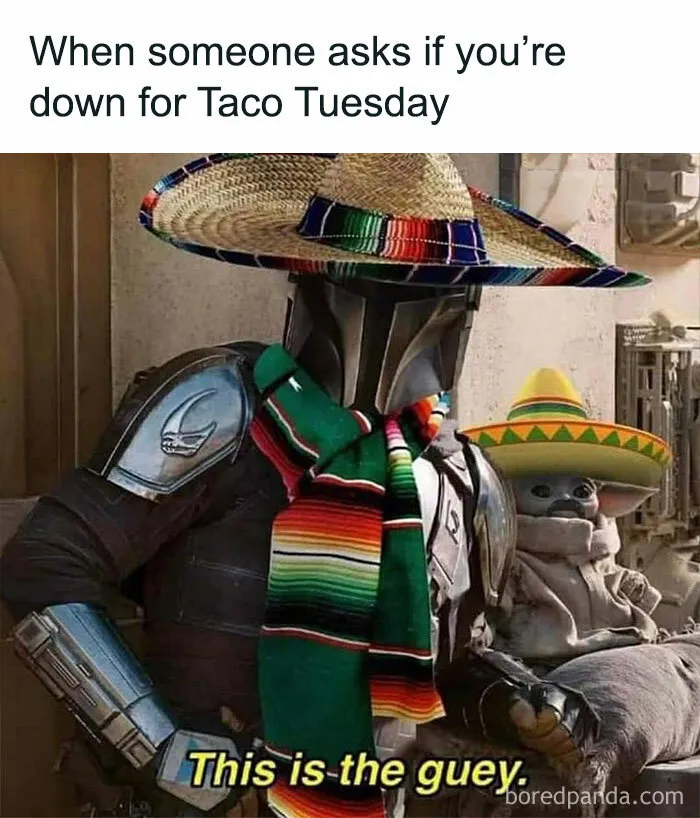 “Are You Down for Taco Tuesday?”