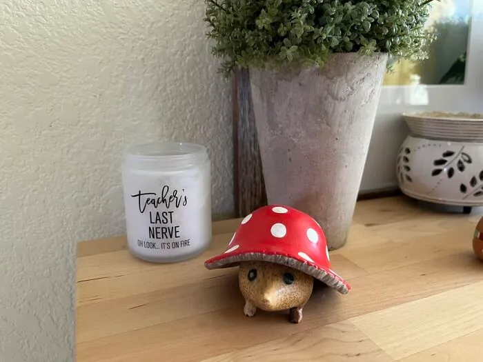 This <span Style="Font:inherit;color:#d74b1f;"> Mushroom Garden Hedgie </Span> Is Too Cute To Pass Up!