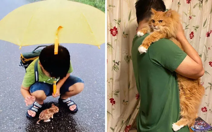How I Met My Human