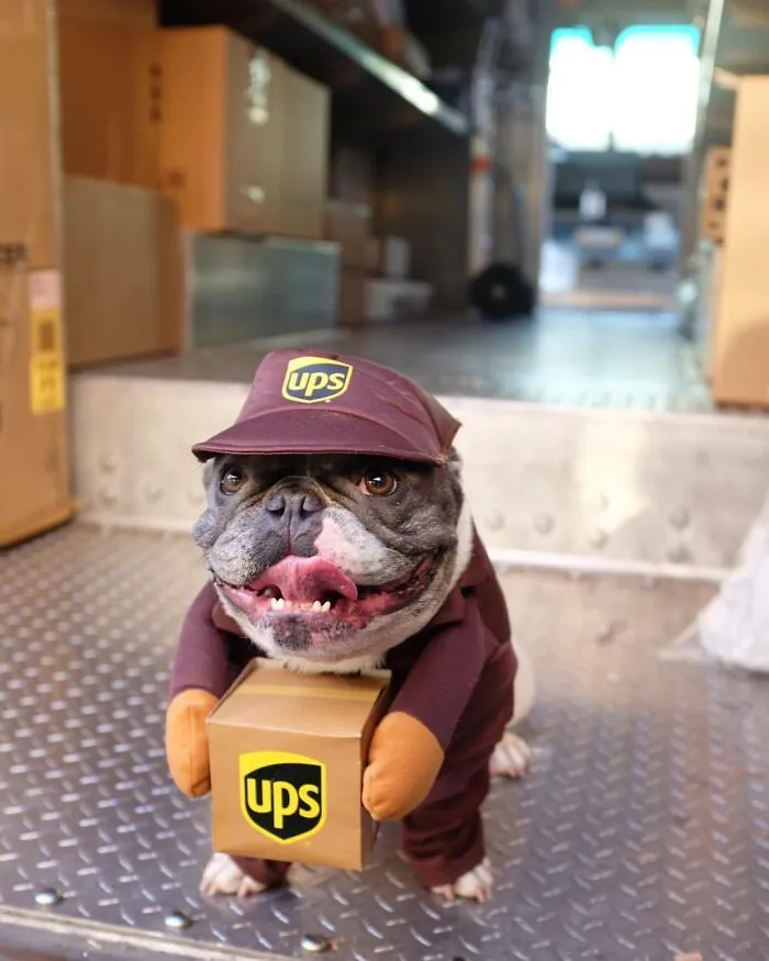 Names Pepé And I’m A Driver Helper, I Get Paid In Biscuits