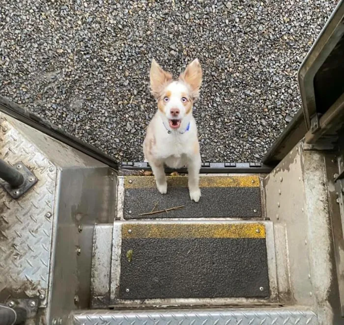 “You Mean To Tell Me I Get Three Biscuits On Thursdays?!?”