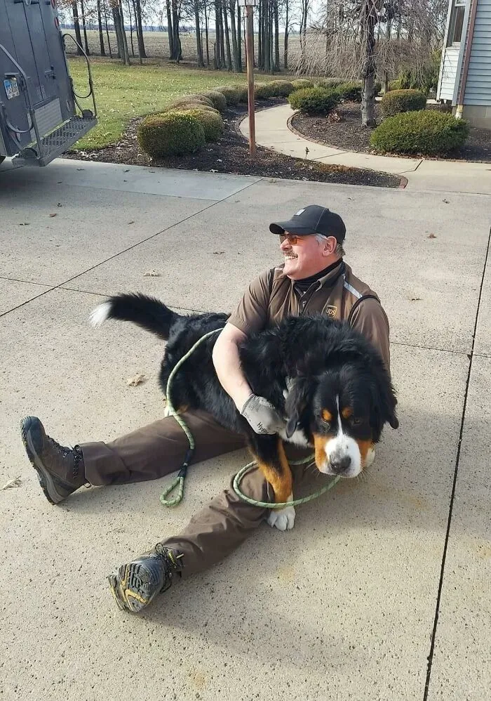Paul Was On One Knee Until Jax Decided That Meant "Playtime"