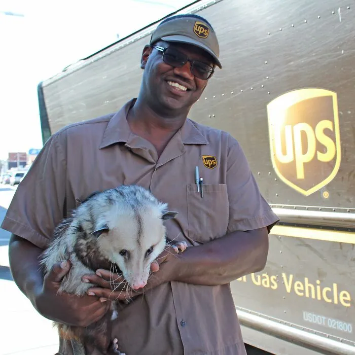 Here Is A Photo Of Me, Sesame The Opossum, With My Friend Joe In New Orleans, Louisiana
