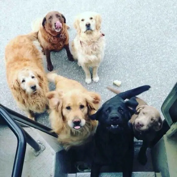 Who Gets The First Cookie? One Big Happy Family - Whitingham Vermont, Thank You Josh Kissell