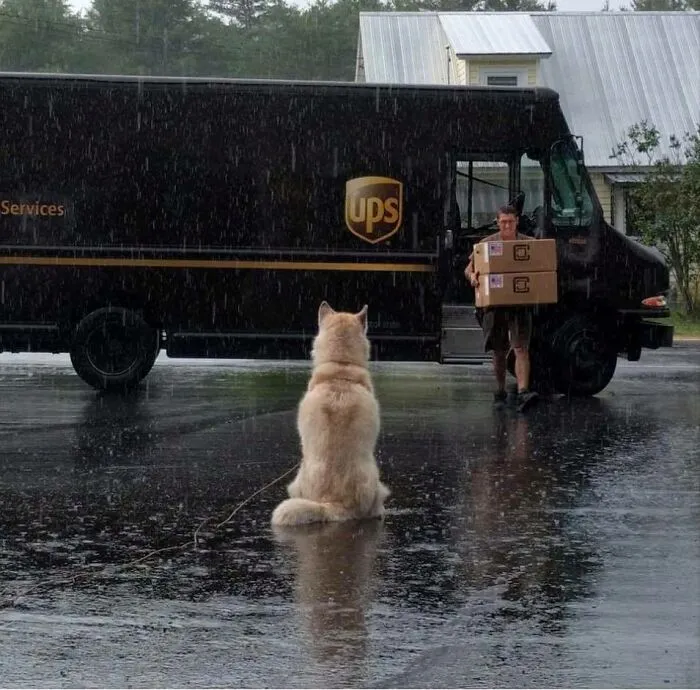 Shop Friend Nikita Is Waiting On A Special Delivery. Waiting Patiently For Whatever Goodies Maybe In Browns Pockets