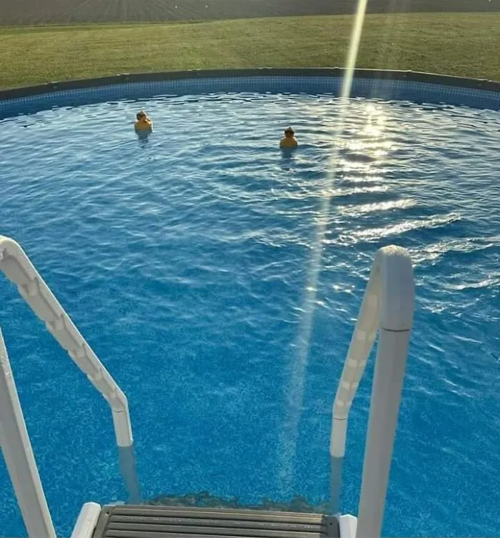 ¿Qué tamaño tiene esta piscina???