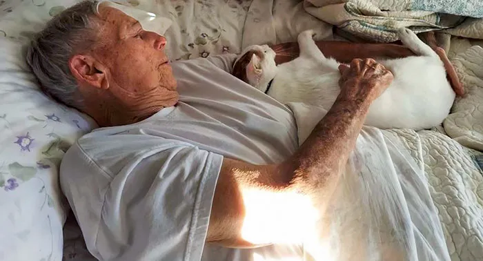Mi madrastra adoptó un gato para sus padres ancianos. Estábamos nerviosos por si a su padre no le gustaba, pero aquí están