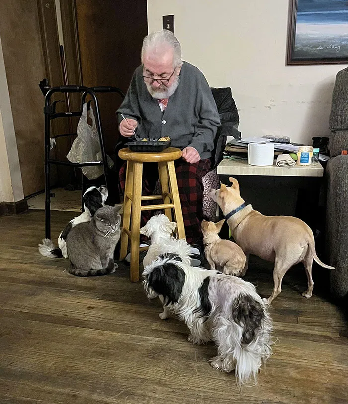 Mi padre que en secreo 'no da comida' a los perros