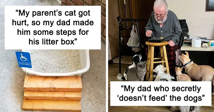50 Funny And Wholesome Dads Who Nailed Fatherhood (New Pics)