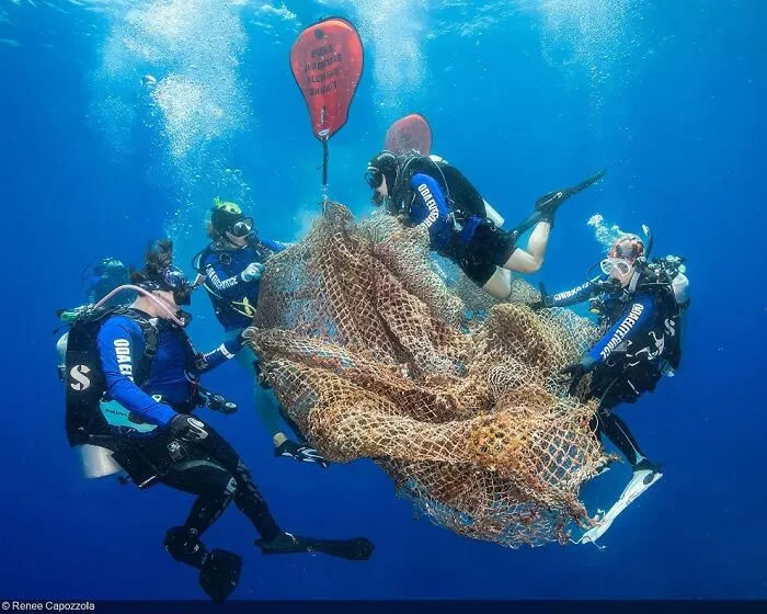 Awaken New Depths, Winner: Renee Capozzola (USA)