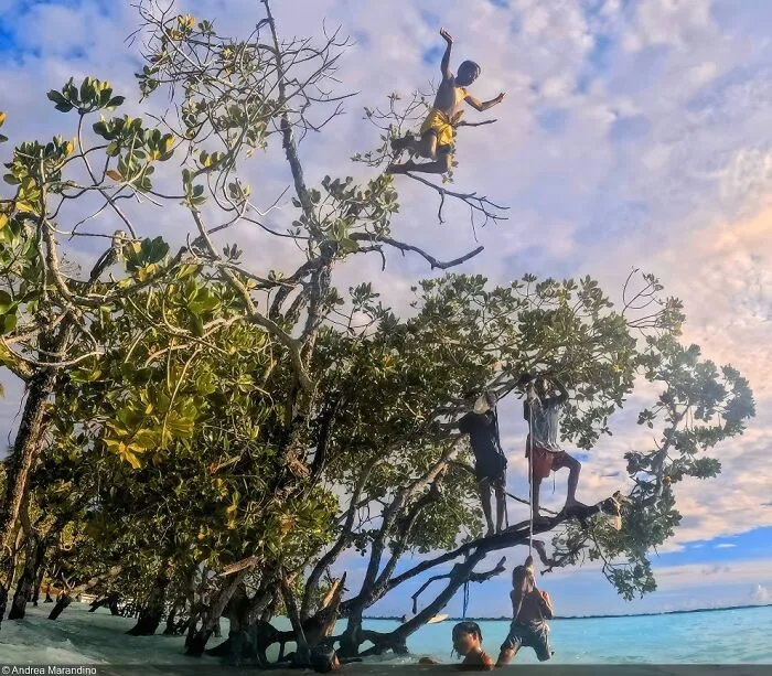 Small Island Developing States, Winner: Andrea Marandino (Brazil)