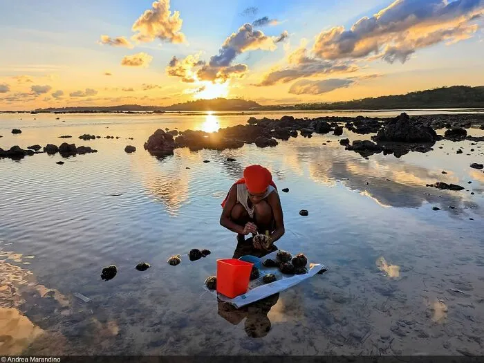 Small Island Developing States, 2nd Place: Andrea Marandino (Brazil)