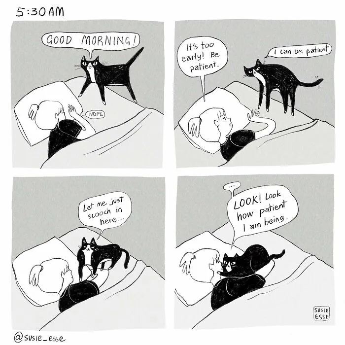 26 Comics By Susie Esse That Blend Humor With Heartwarming Moments
