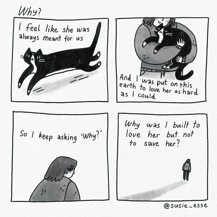 26 Comics By Susie Esse That Blend Humor With Heartwarming Moments