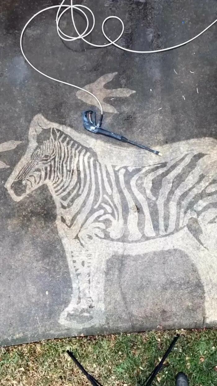 This Guy Used A Pressure Washer To Create Art On The Street, And Here Are His 43 Best Works