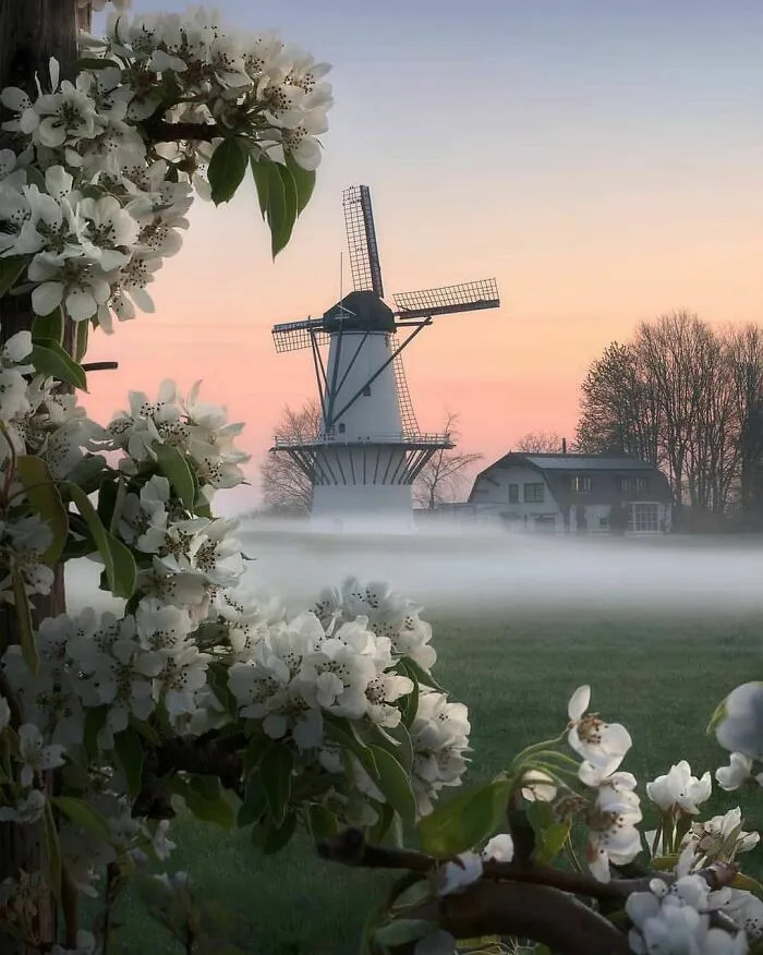 30 Pics That Prove The Netherlands Is One Of The Most Beautiful Countries