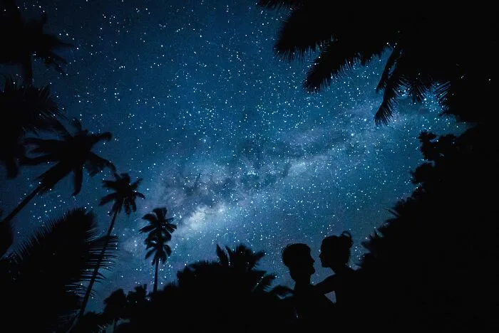 Image By Benoit Heurtault Of Groovy Banana Taken In Ratua Island, Santo, Vanuatu