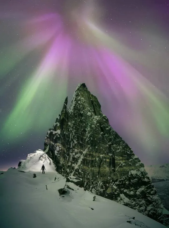 The Platform By Virgil Reglioni