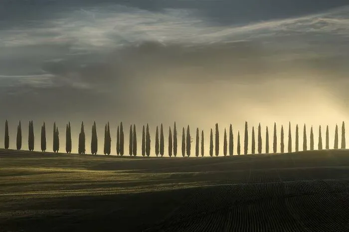 Moment Of Bliss By Alberto Fornasari