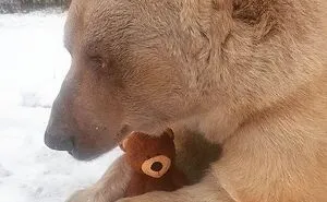 50 Photos To Slightly Amuse and Intrigue You, As Shared On This Instagram Page