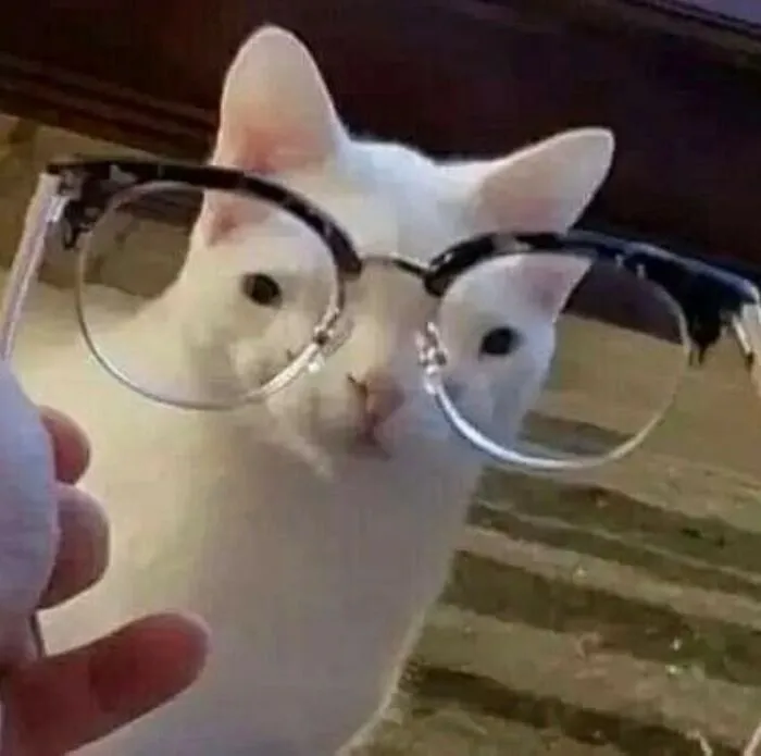 50 Animals Going "Goblin Mode", As Shared By This Dedicated Instagram Account