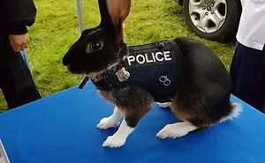 50 Photos To Slightly Amuse and Intrigue You, As Shared On This Instagram Page
