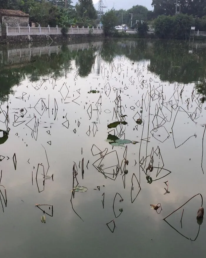 El reflejo de estos palos en el agua