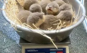 50 Photos To Slightly Amuse and Intrigue You, As Shared On This Instagram Page