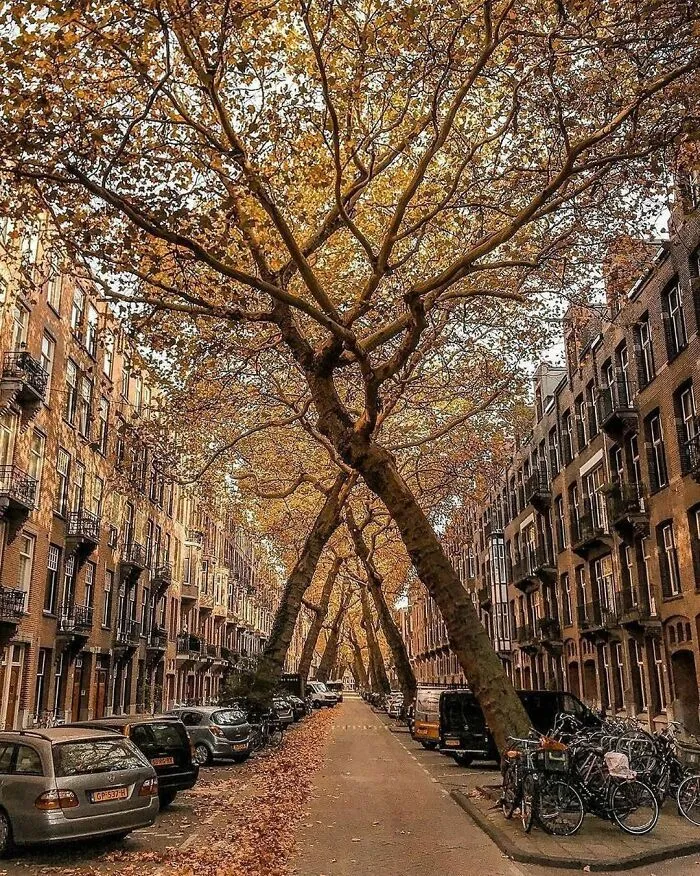30 Pics That Prove The Netherlands Is One Of The Most Beautiful Countries
