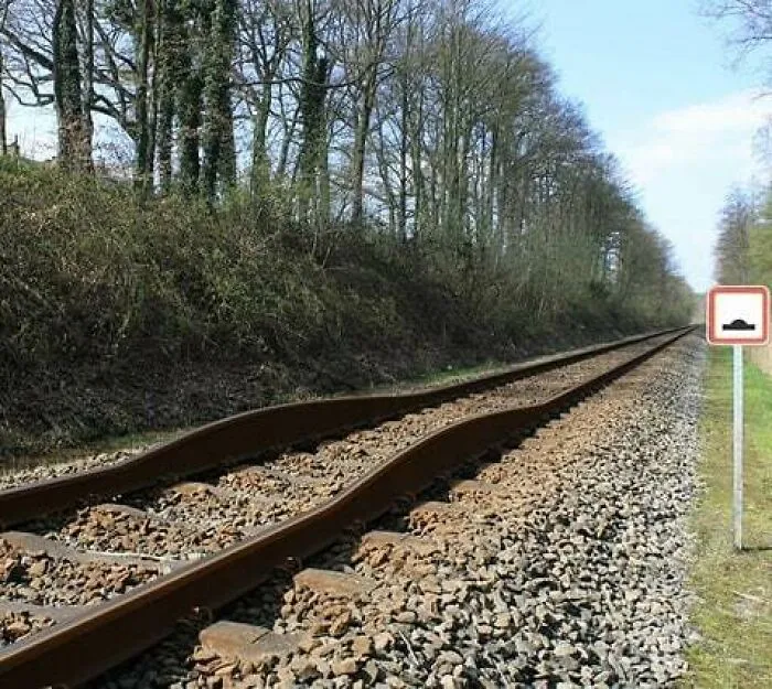 People On The Train Be Like Weeeeeee