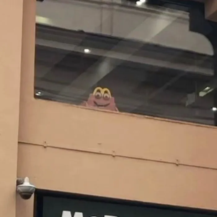 Always Watching