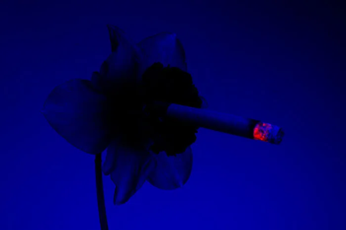 I Took 14 Photographs Of Flowers Smoking Cigarettes