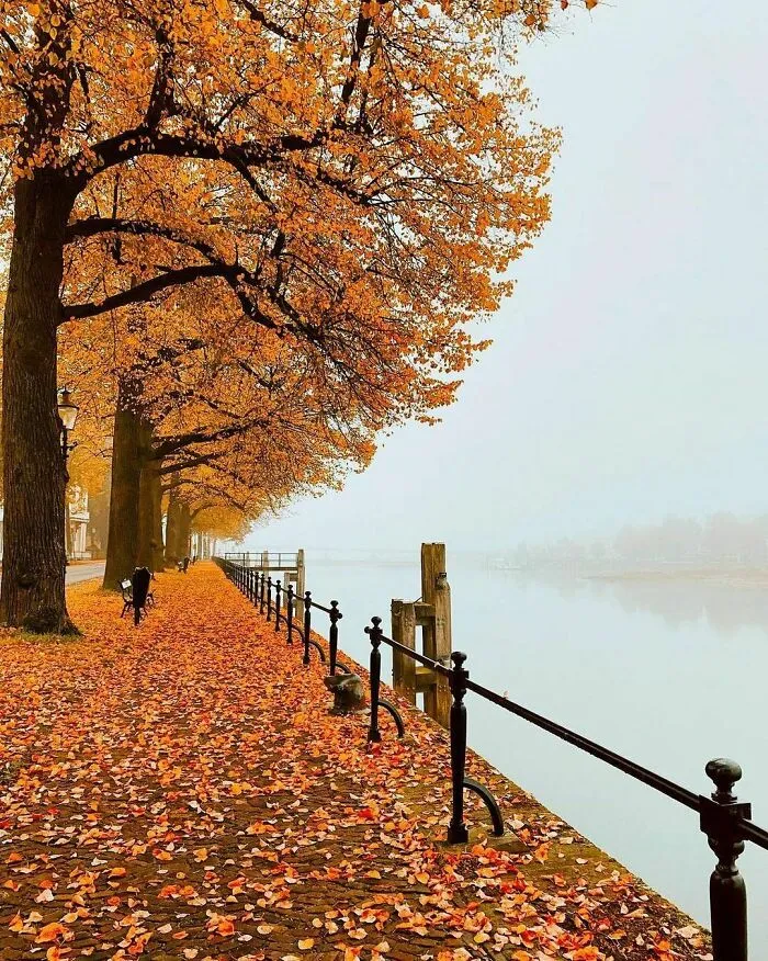 30 Pics That Prove The Netherlands Is One Of The Most Beautiful Countries