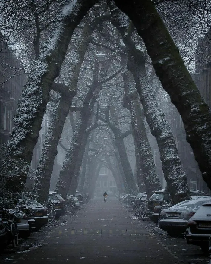 30 Pics That Prove The Netherlands Is One Of The Most Beautiful Countries