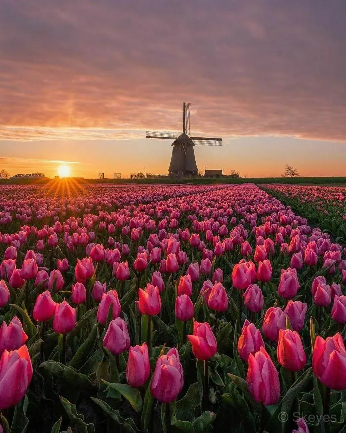 30 Pics That Prove The Netherlands Is One Of The Most Beautiful Countries