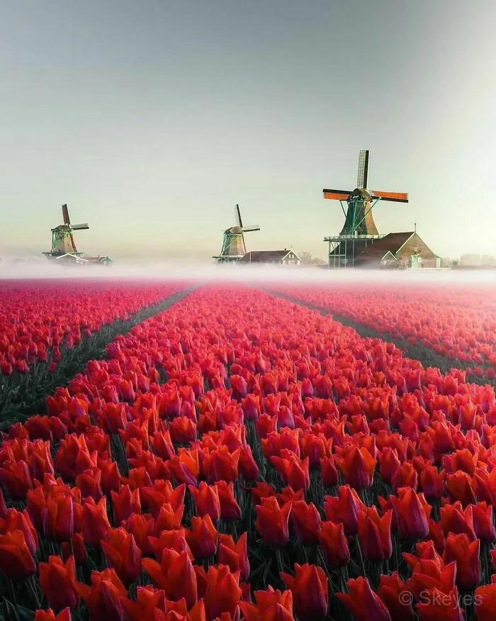 30 Pics That Prove The Netherlands Is One Of The Most Beautiful Countries