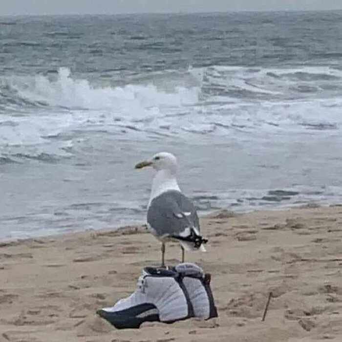 He Got That Drip