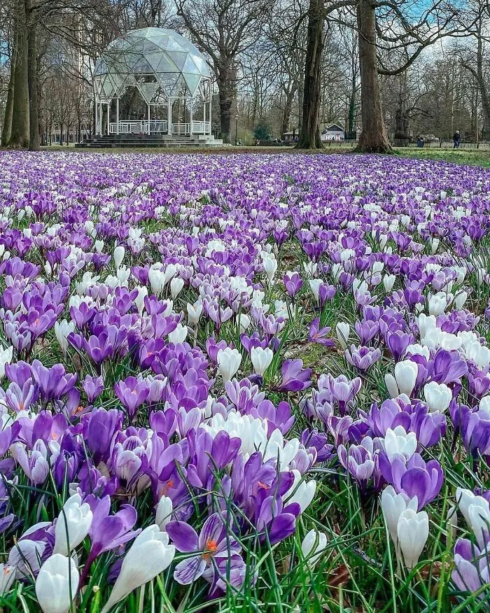 30 Pics That Prove The Netherlands Is One Of The Most Beautiful Countries