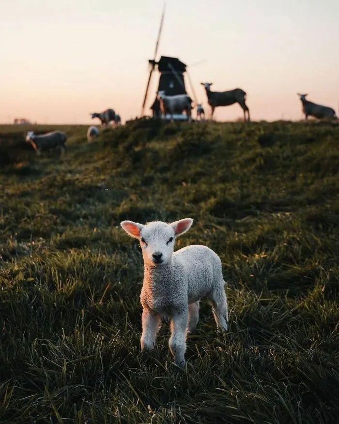 30 Pics That Prove The Netherlands Is One Of The Most Beautiful Countries