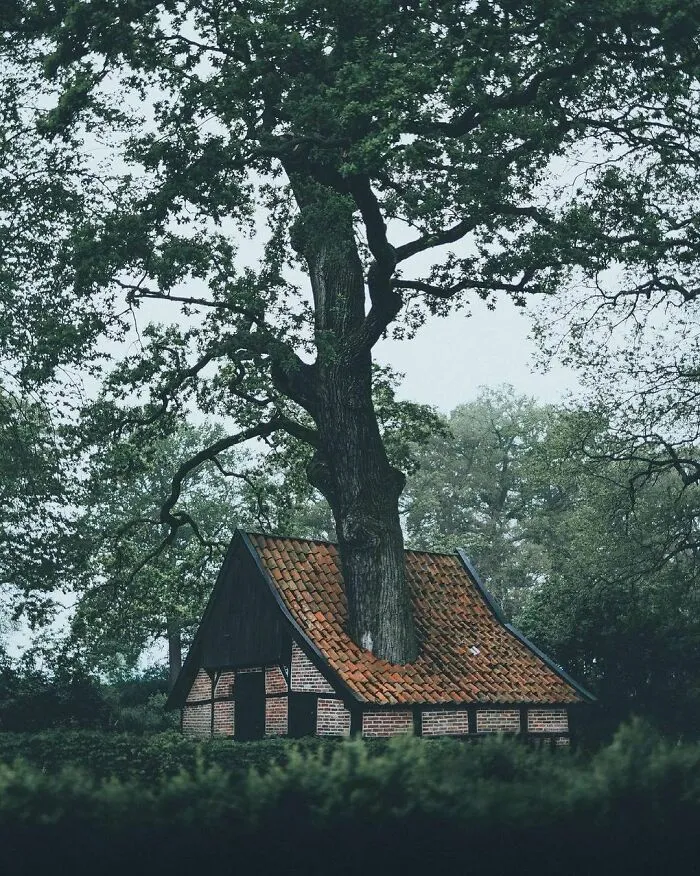 30 Pics That Prove The Netherlands Is One Of The Most Beautiful Countries