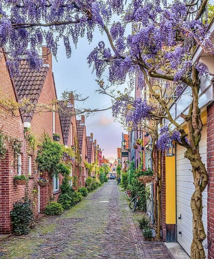 30 Pics That Prove The Netherlands Is One Of The Most Beautiful Countries
