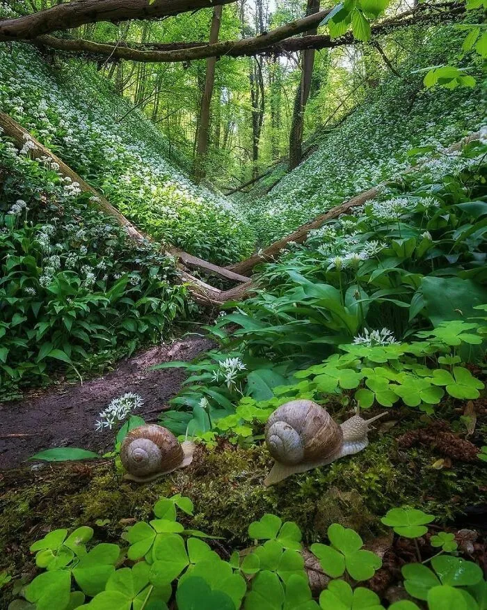 30 Pics That Prove The Netherlands Is One Of The Most Beautiful Countries